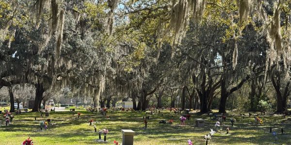 Peaceful cemetery grounds beneath mature oak trees at Beaches Memorial Park