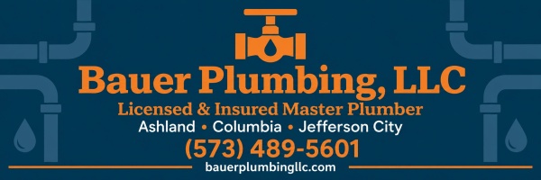 bauerplumbingllc.com