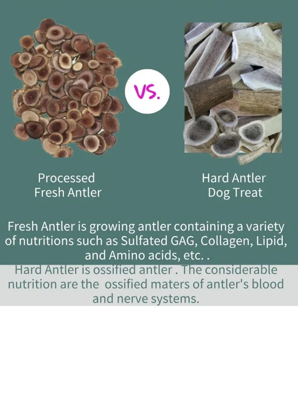 Velvet Antler vs Hard Antler