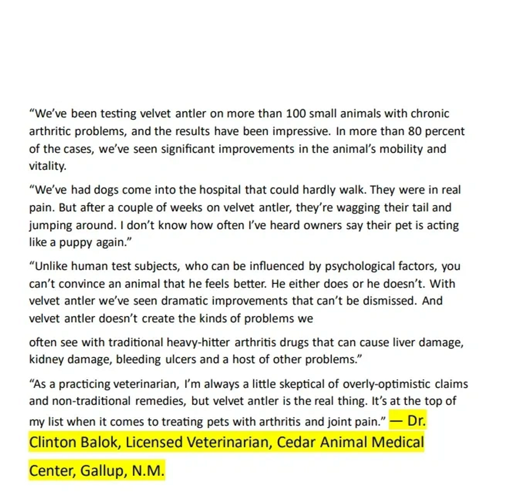 Cedar Animal Medical Center