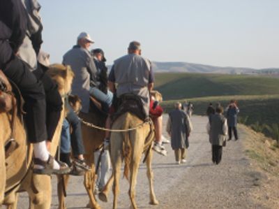 Camel ride in I