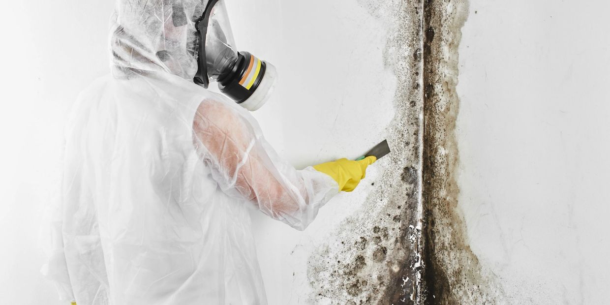 Mold remediation