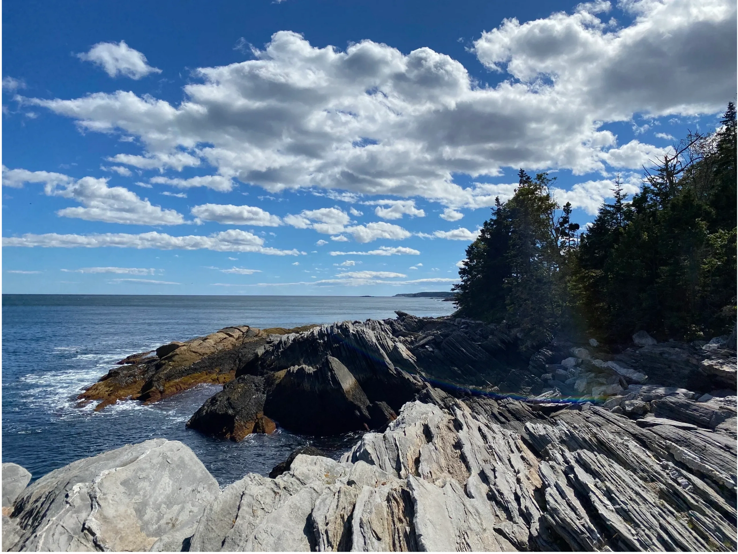 The coastline of the Pemaquid peninsula at LaVerna Preserve