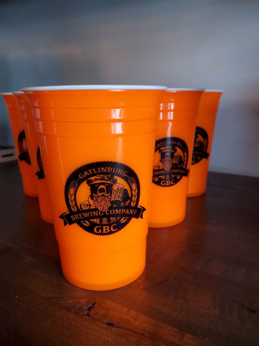 Insulated Party Cup