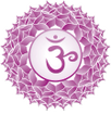 Tina's house of healing. com

