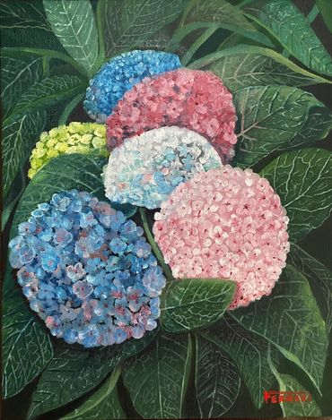 HYDRANGEA FLOWERS