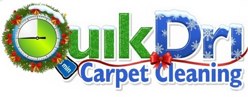 QUIKDRI CARPET CLEANING LLC
