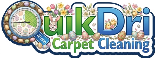 QUIKDRI CARPET CLEANING LLC
