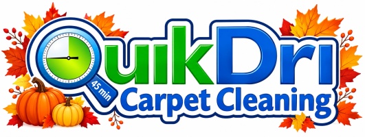 QUIKDRI CARPET CLEANING LLC
