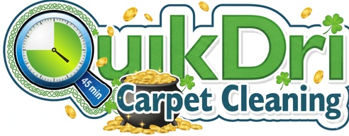 QUIKDRI CARPET CLEANING LLC
