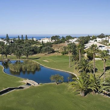 Scenic golf course with palm trees and water hazard under clear blue sky.