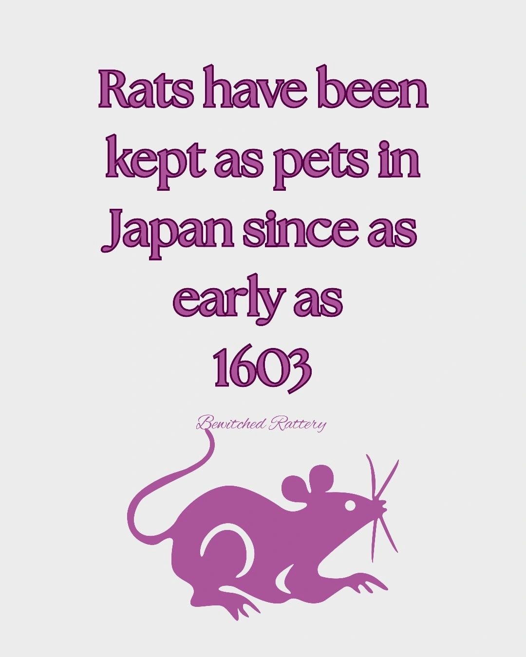 Rat Facts