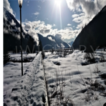 Snow lined boardwalk at the head of the Portland canal