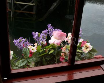 Beautiful flowers adorn a window box