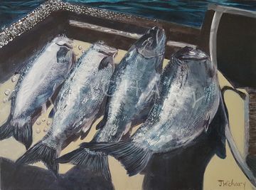 Four pacific salmon glisten in the sun 
