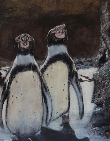 Two penguins out for a stroll in the sun