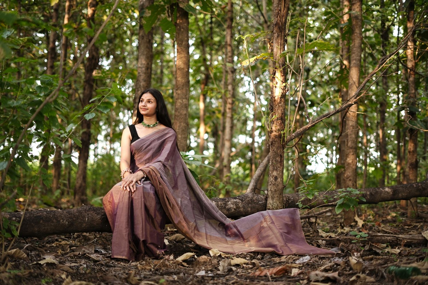 Woman in a purple saree sitting on a fallen tree in a forest.