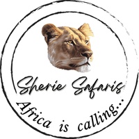 Sherie Safaris