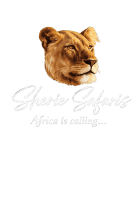 Sherie Safaris
