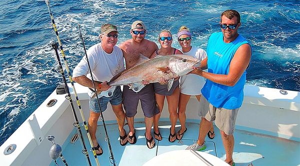 Destin Fishing Rodeo
Charter fishing excursions