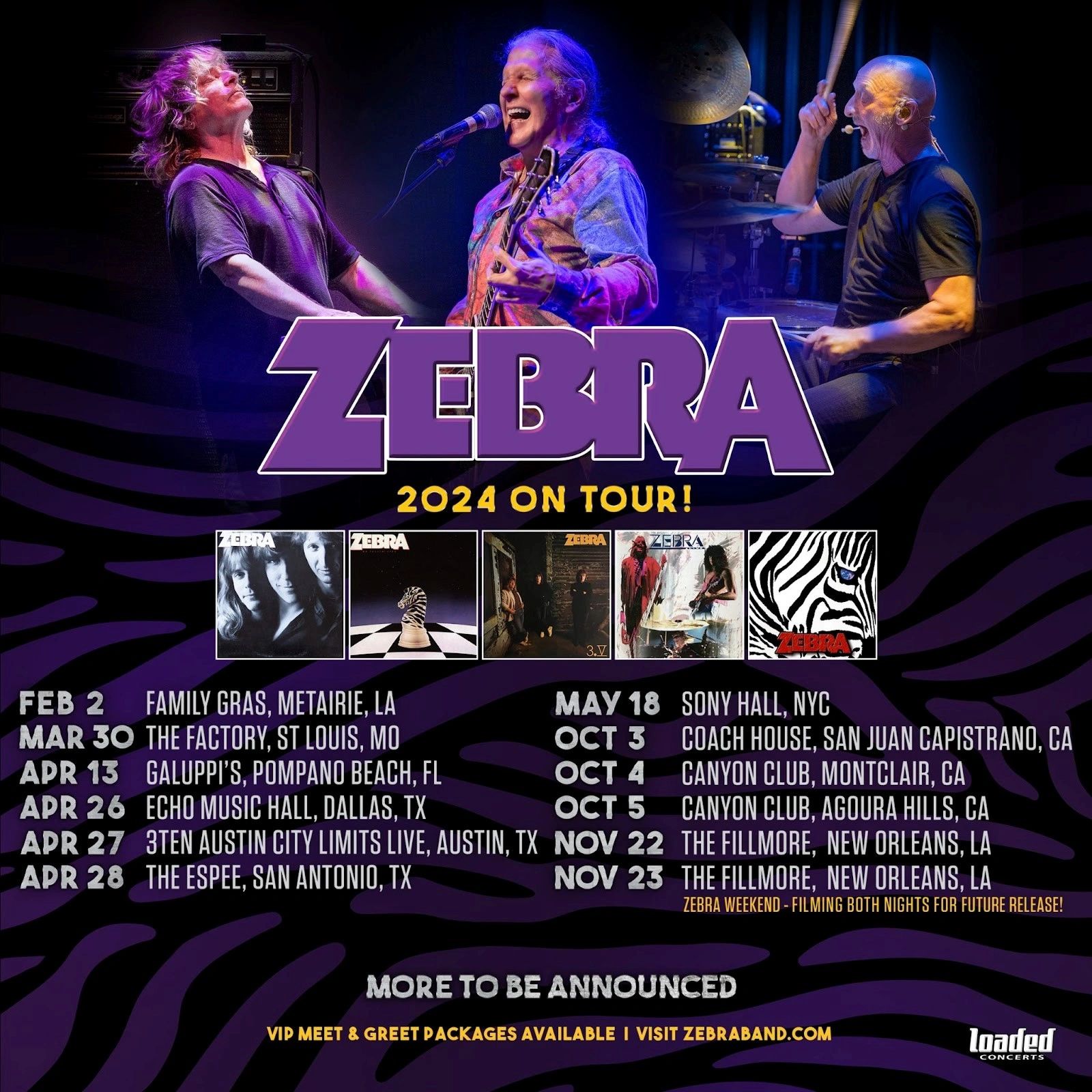 Zebra On Tour In 2024 New Album Documentary More   Cr=t 0%25,l 0%25,w 100%25,h 100%25