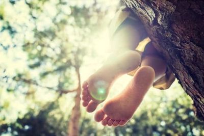 barefeet dangling from tree limb image