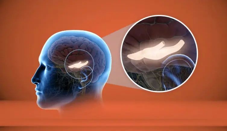 genius-wave.godaddysites.com