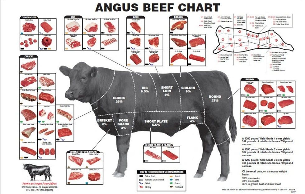 Raising Five Cattle Company photo 2