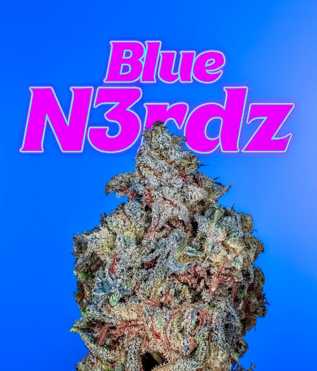 Blue N3rdz s1