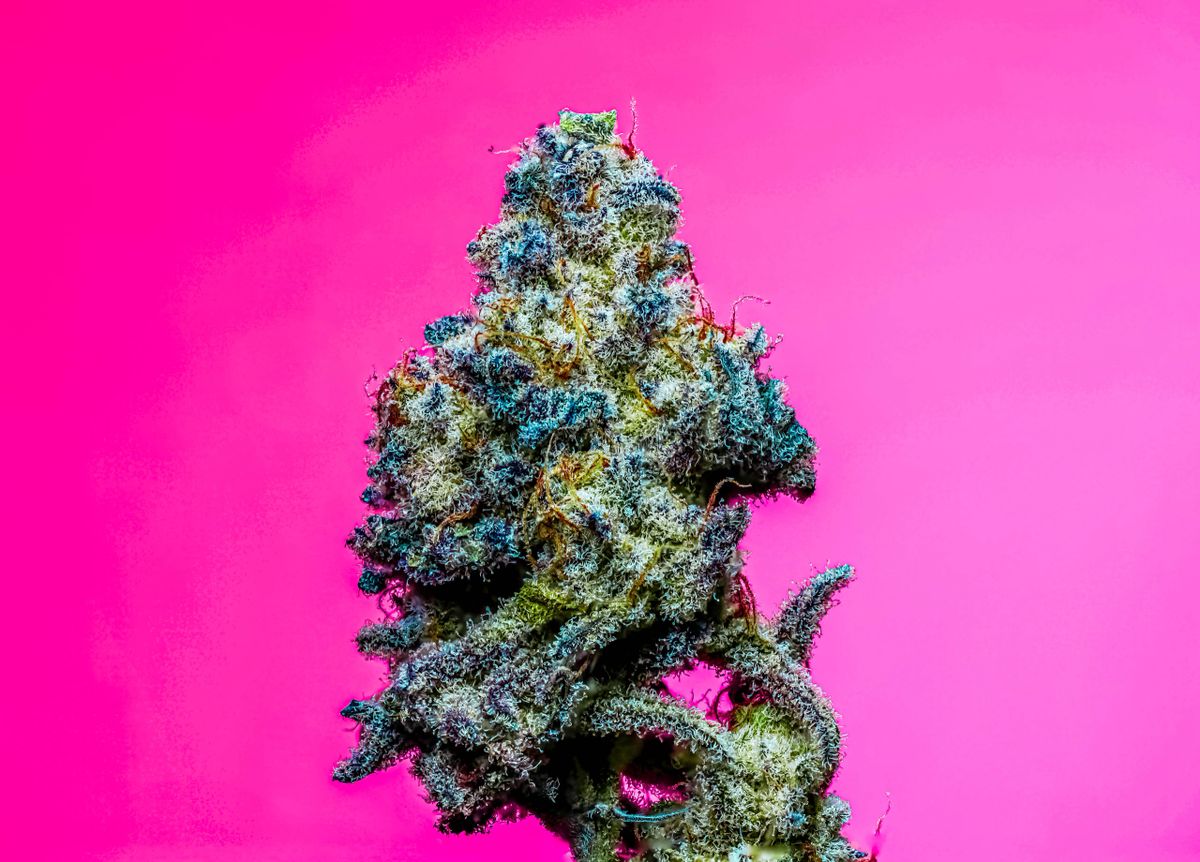 Strawberries N Later s1