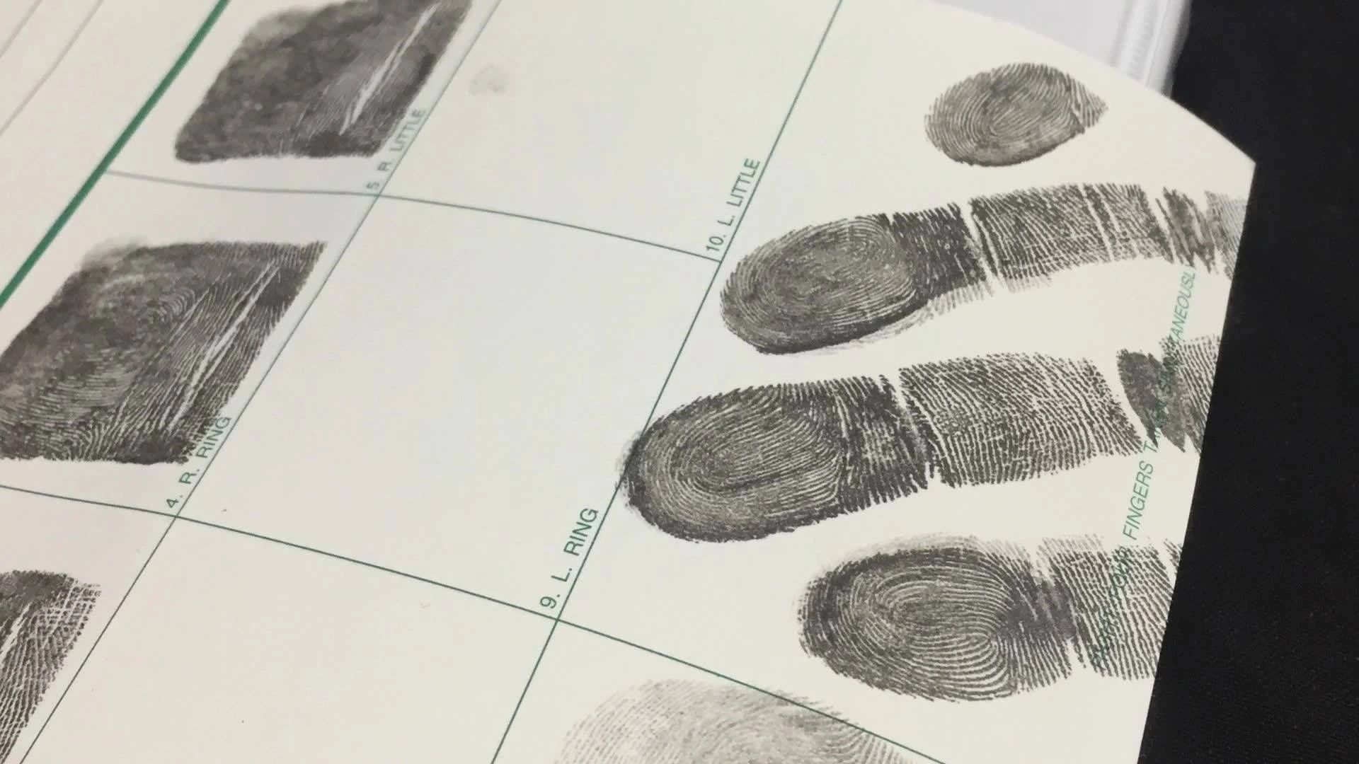 A Guide to Understanding the 3 Main Fingerprint Patterns