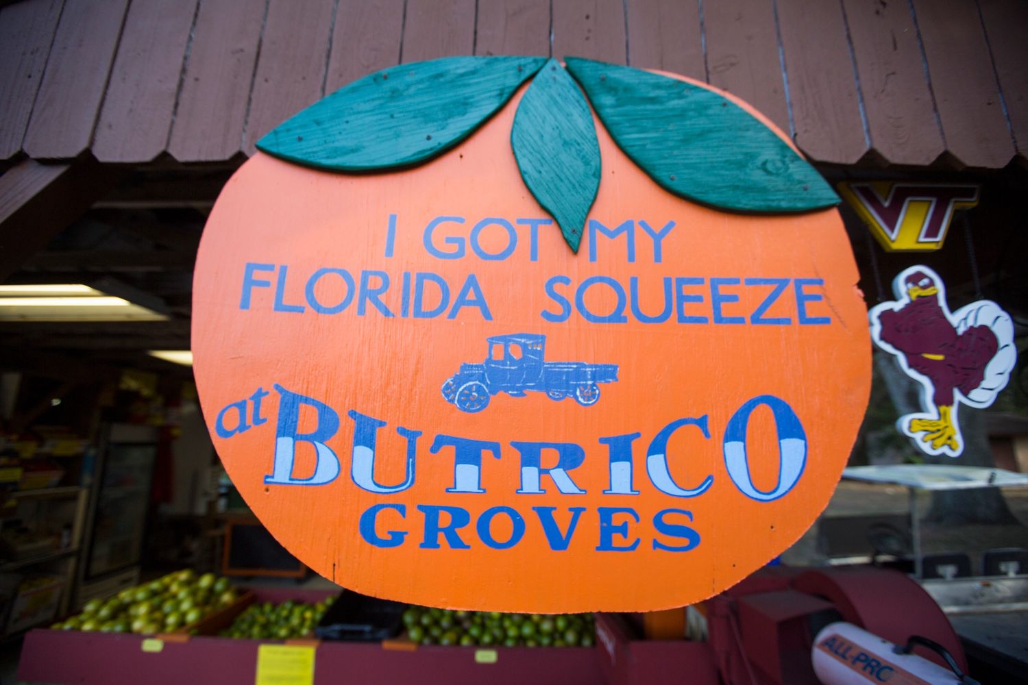 visit orange grove florida