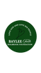 bayleefaithholbrookfoundation.org
