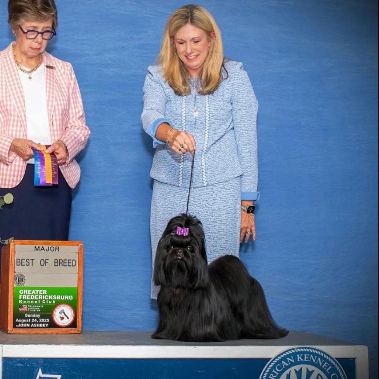 A black dog with a purple bow wins Best of Breed at a dog show.