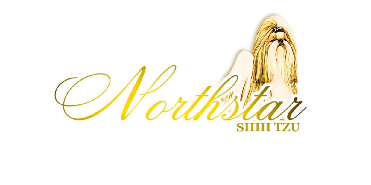 Logo for Northstar Shih Tzu featuring a stylized Shih Tzu dog illustration.