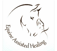 Equine Assisted Healing