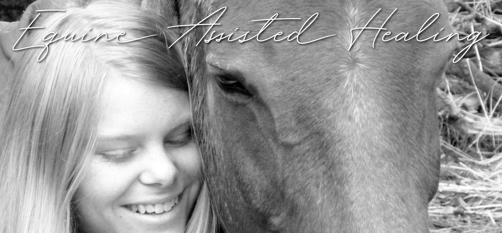 equine-assisted-therapy-equine-assisted-healing