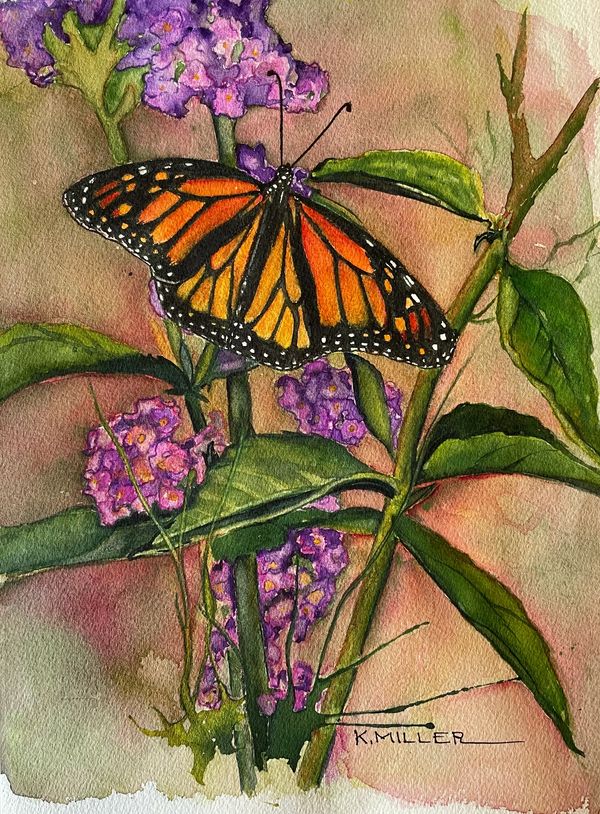 monarch butterfly