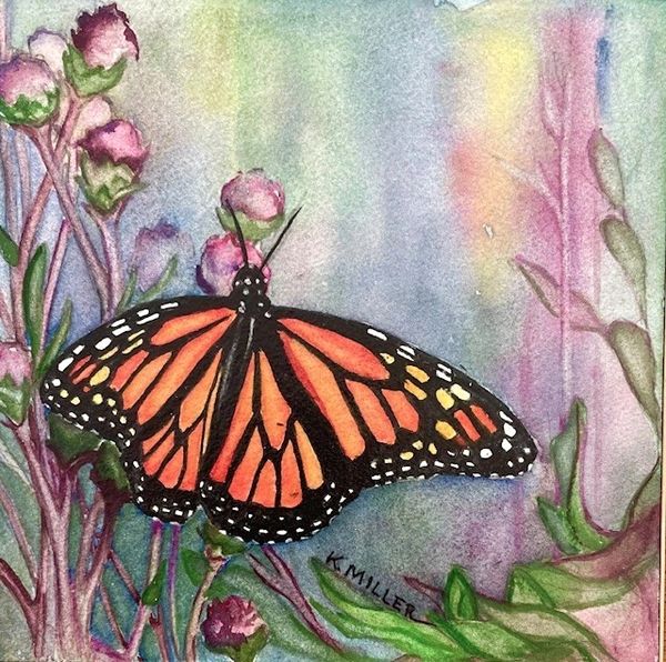 monarch butterfly