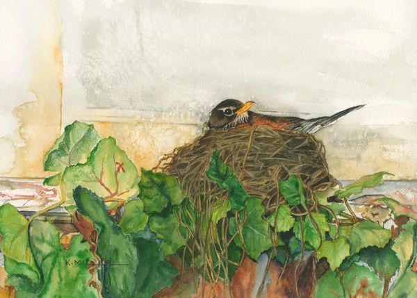 Watercolor painting of a robin on her nest