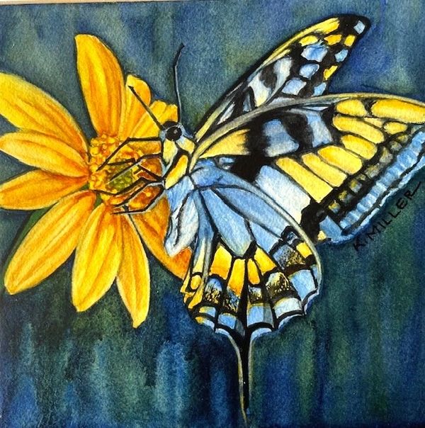 swallowtail butterfly