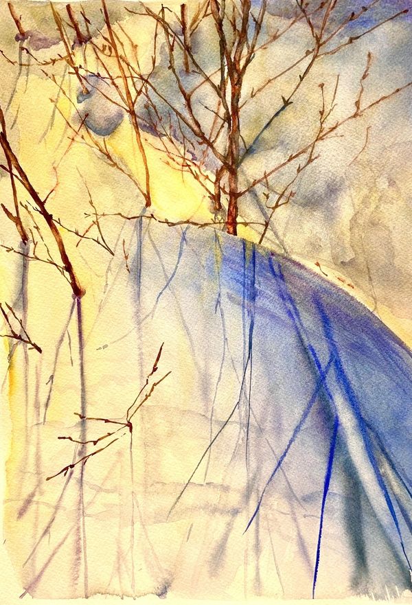 winter shadows