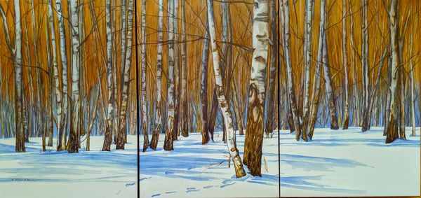 Watercolor triptych painting of birch trees in winter