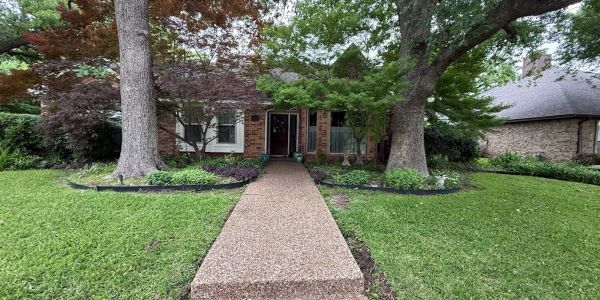 Suburban house with large trees and a stone walkway.