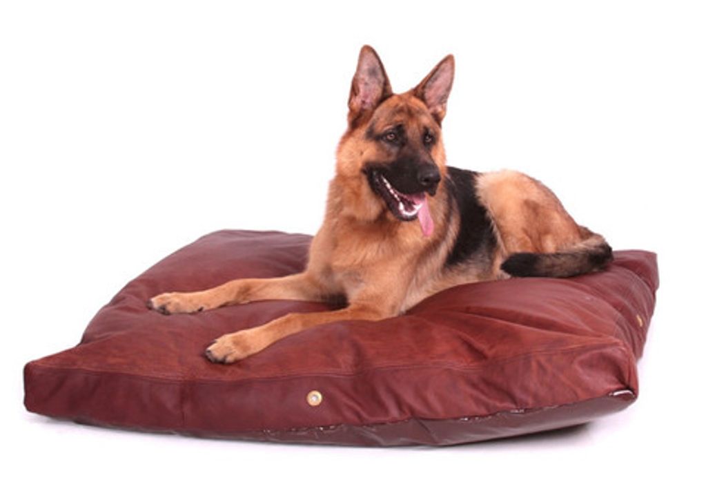 extra large mattress dog bed