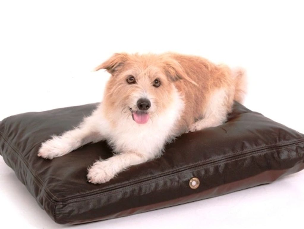 small mattress dog bed