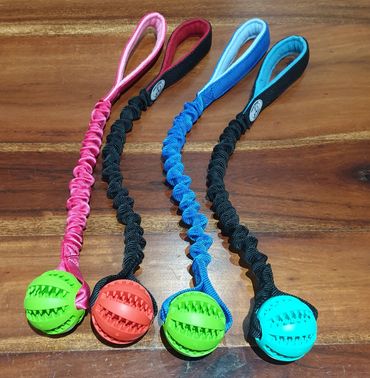 long different colour bungee on tooth brush balls