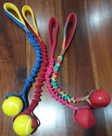 any ball with tubular webbing and bungee