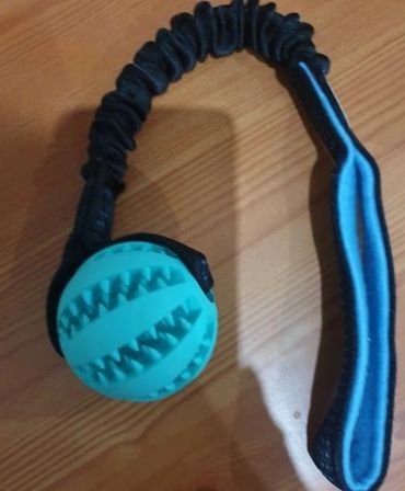 bungee with tubular webbing and tooth brush ball tug