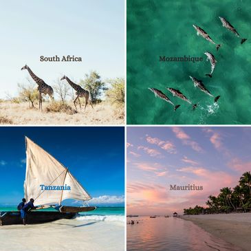 A collage with images from four countries: South Africa, Mozambique, Tanzania and Mauritius.